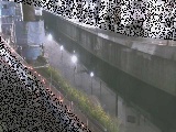 境川 境橋付近のカメラ画像
