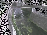 蓼川 松山橋付近のカメラ画像