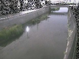 引地川 大山橋付近のカメラ画像