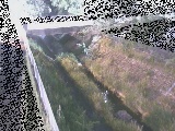 境川 寿橋付近のカメラ画像