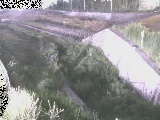 境川 風戸橋付近のカメラ画像