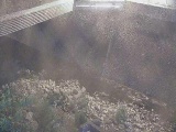 鳩川 石橋付近のカメラ画像