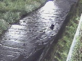 水上橋付近のカメラ画像