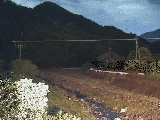 谷戸口橋付近のカメラ画像