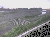 酒匂川 富士道橋付近のカメラ画像