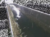 山王川 東洋橋付近のカメラ画像