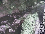 千歳川 千歳付近のカメラ画像