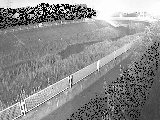 早淵川 高田橋付近のカメラ画像