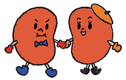 腎五郎＆腎子