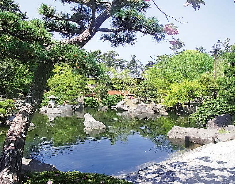 葉山しおさい公園の庭園