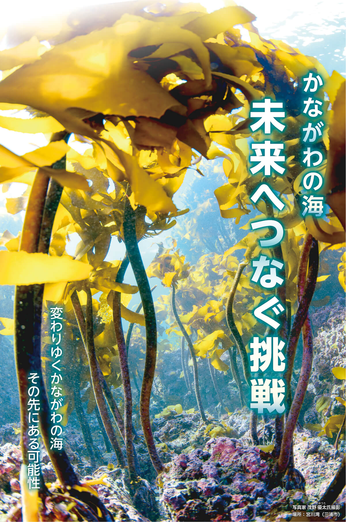 変わりゆくかながわの海&emsp;その先にある可能性