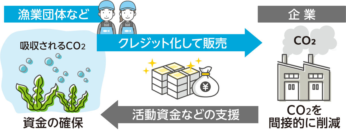 ブルーカーボンクレジットの仕組み。漁業団体などのCO2吸収量をクレジット化して企業へ販売し、企業から活動資金の支援を受けることで、資金確保とCO2の間接的削減を両立する流れの図解